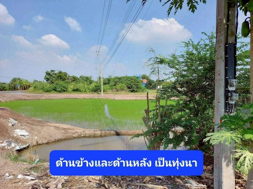 ขายบ้านเดี่ยว 2 ชั้น ตามสภาพ เนื้อที่ 203 ตร.ว. บ้านหันหน้าทิศเหนือ ใกล้ตัวเมือง ใกล้วัดเจดีย์หอย ลาดบัวหลวง พระนครศรีอยุธยา 13