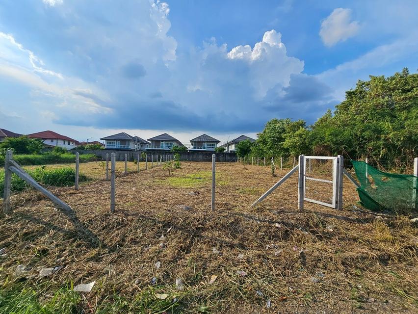 ที่ดินเปล่าให้เช่า ถมแล้ว มีรั้วล้อม ติดถนน เดินทางสะดวก เงียบ สงบ บางบัวทอง 2