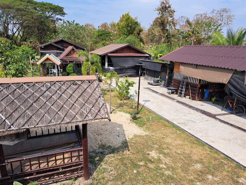 บ้านเรือนไทยสวนผลไม้รีสอร์ทส่วนตัว 17