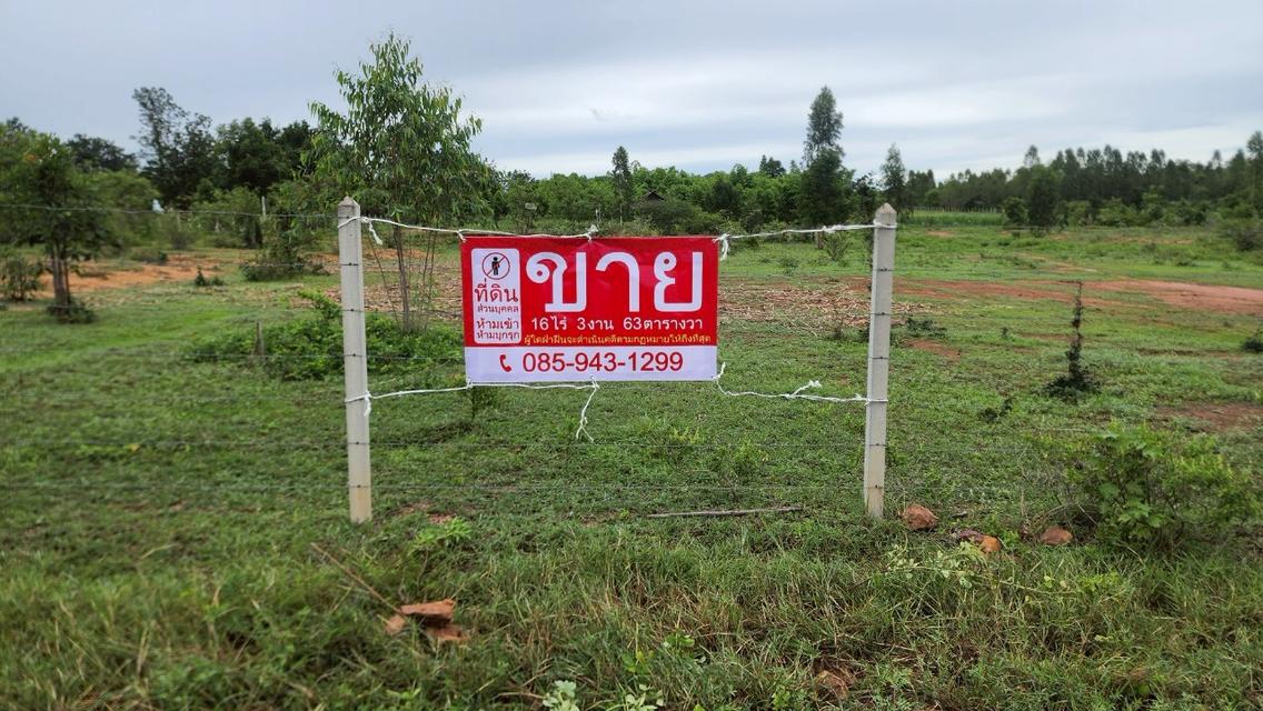 ขายที่ดิน 16 ไร่ 3 งาน 63 ตารางวา ติดถนนลาดยาง วิวภูเขา จ.กาญจนบุรี