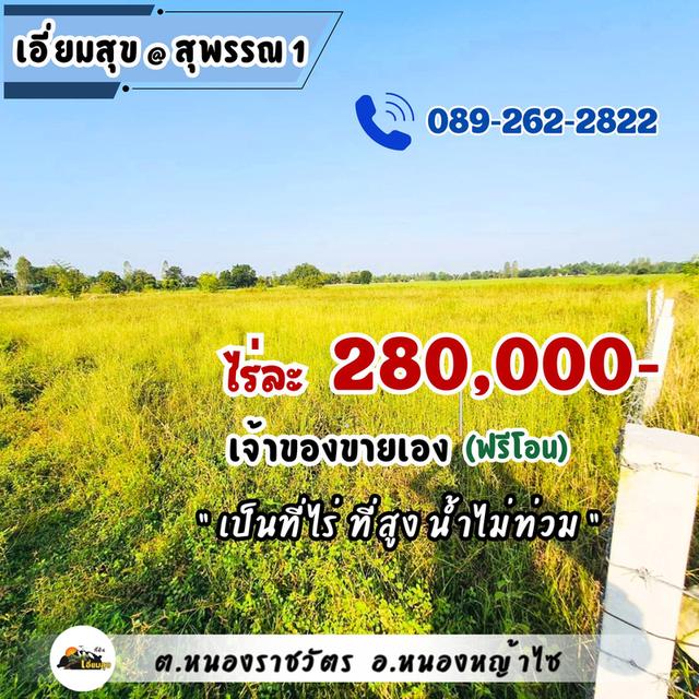 ที่ดินบ้านสวนสุพรรณ 1 ไร่ มีน้ำไฟ ถูกสุด แค่ 280,000 เอี่ยมสุข@สุพรรณ 1 (หนองหญ้าไซ) 3