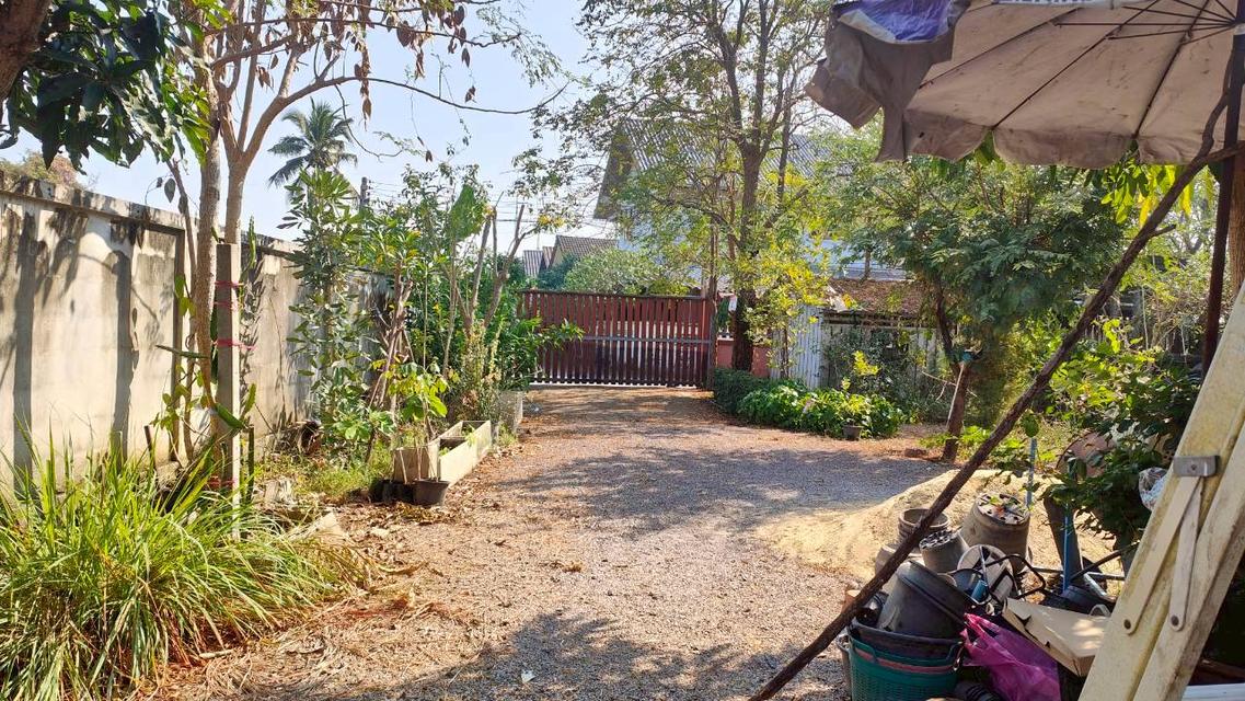 ขายที่ดินยกแปลงถมแล้ว 2-0-11 ไร่ กลางหมู่บ้านจราจรพัฒนา เขาแก่นจันทน์ ซอย 9 ใกล้ตลาดศรีเมือง พร้อมโฉนด ดอนตะโก ราชบุรี 4