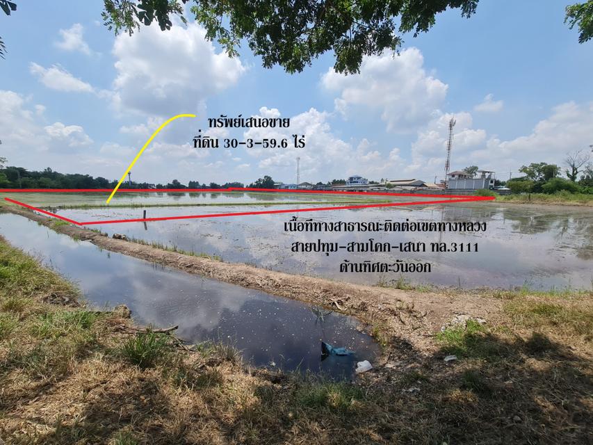 ขาย ที่ดิน ติดถนนสามโคก-เสนา ทล.3111 อ.สามโคก ปทุมธานี ทำเลดีพื้นที่ลงทุน เนื้อที่ 37 ไร่ 12.2 ตรว ลดลงราคา 22 ล้าน เจ้า 4