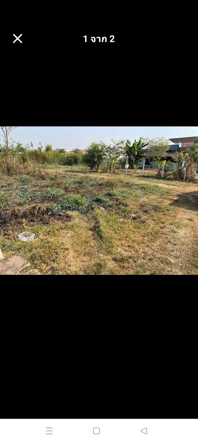 ขายที่ดินเปล่า คลองเก้า หนองจอก 2