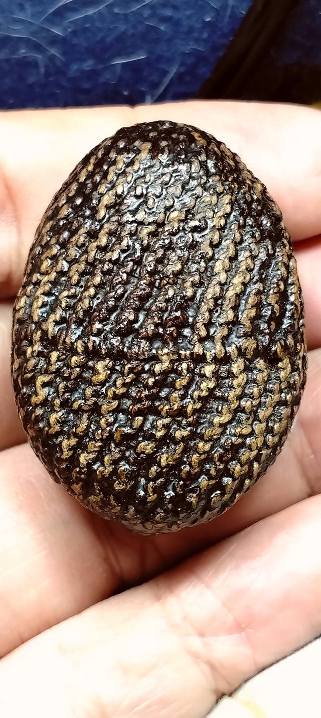 ให้บูชา เบี้ยแก้ หลวงปู่รอด วัดนายโรง จ.กรุงเทพ สร้างปีพ.ศ.2443(พุทธคุณครบทุกด้าน)(หายากสุดยอดเบี้ยแก้อันดับ1ของเมืองไทย 2