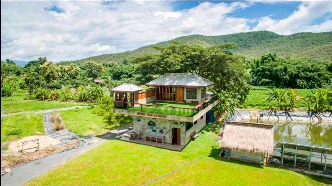 แบ่งขายที่ดินติดดอย ติดถนน ใกล้โครงการพระราชดำริห้วยฮ่องไคร้ ต.แม่โป่ง อ.ดอยสะเก็ด จ.เชียงใหม่ 3