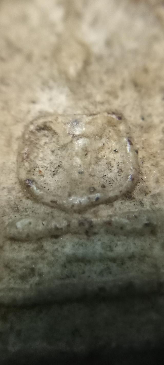 พระเครื่องสมเด็จวัดระฆัง 5