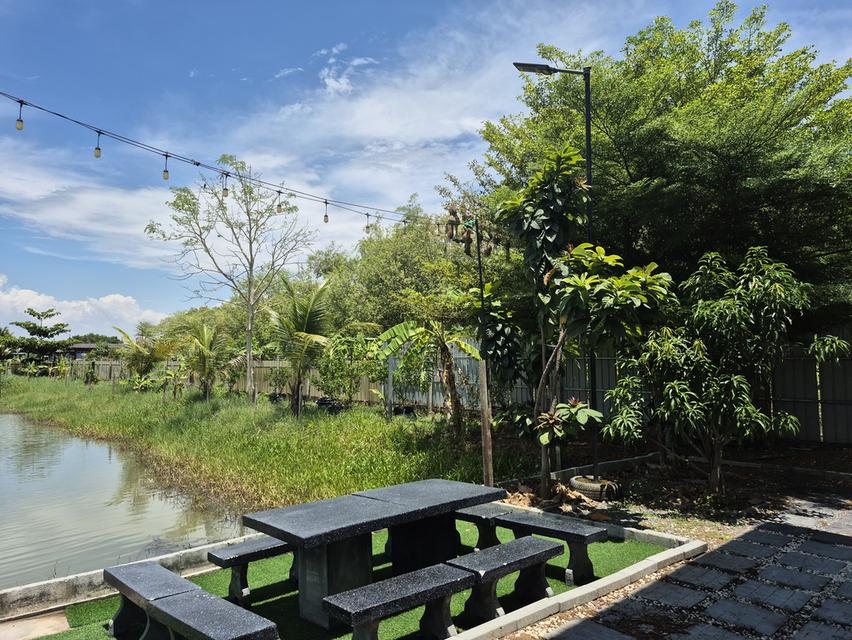 บ้านพร้อมที่ดินทำสวนเกษตร 4