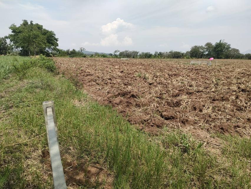 ประกาศขายที่ดินปากช่องแุถวรีสอร์ทบ้านนอกคอกนา ของฉันเอง 12