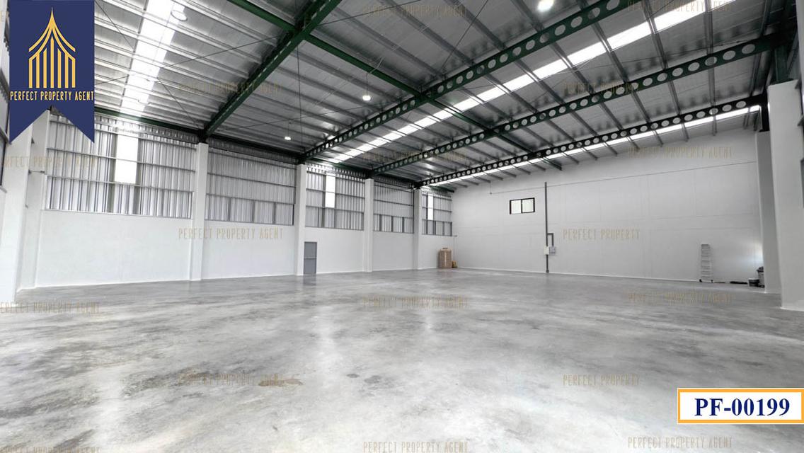 New Factory for sale สีม่วงเข้ม หลายขนาด ลำลูกกา ปทุมธานี 5