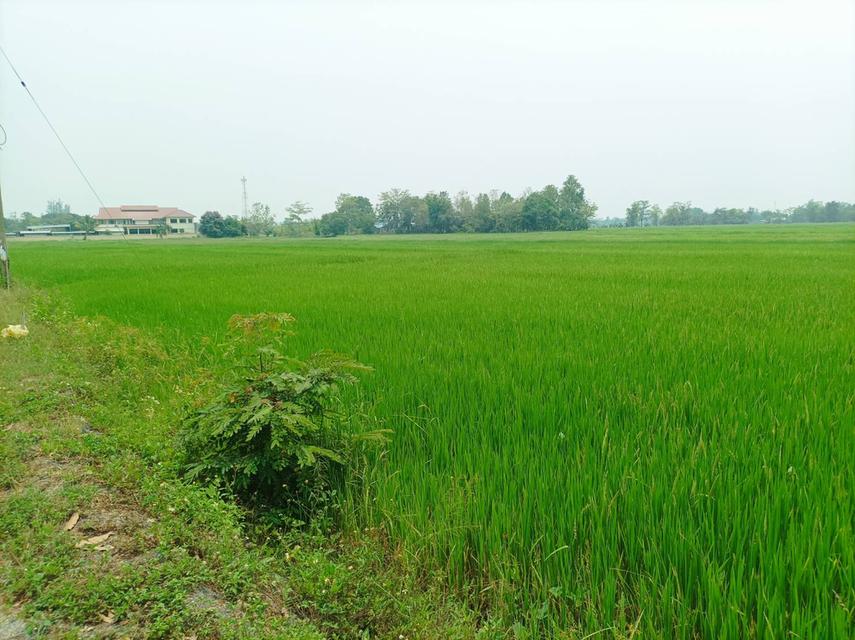 ขายที่ดิน ราคา8,000บาท/ตร.ว. ต.สง่าบ้าน อ.ดอยสะเก็ด จ.เชียงใหม่ 3