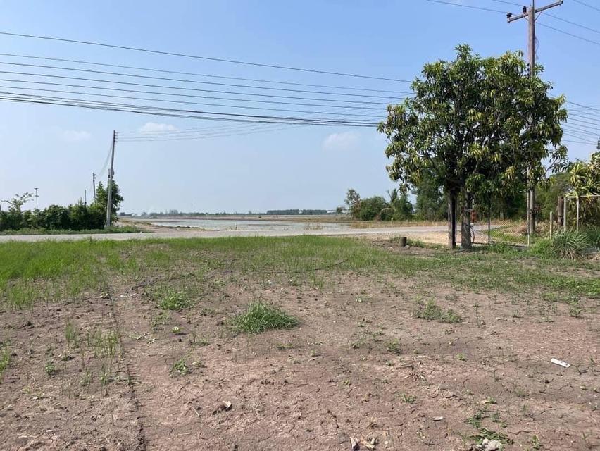 ขายที่ดินติดคลอง บรรยากาศดี คลอง 22 องครักษ์ นครนายก 8