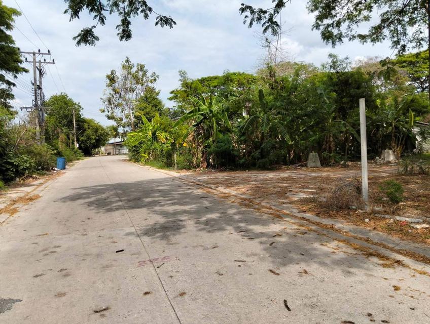 ที่ดิน 2 ไร่ 3 งาน ตัวเมืองระยอง ใกล้นิคม IRPC 5