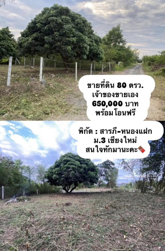 ขายที่ดินเปล่า 1