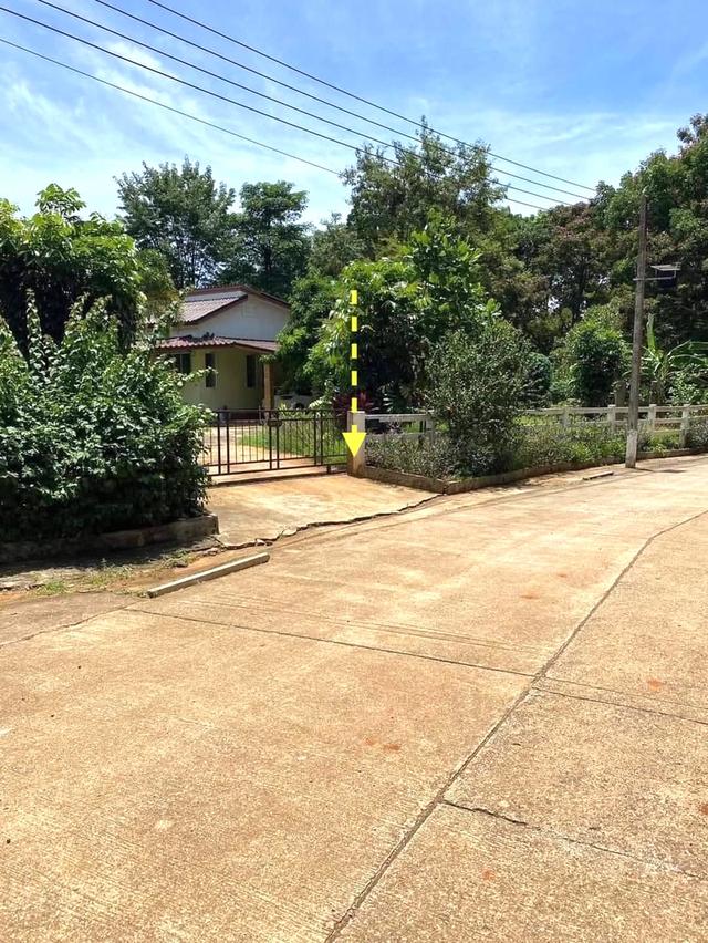 ขายที่ดินพร้อมบ้านพัก ตำบลหมูสี ปากช่อง โคราช ที่ดินพร้อมบ้าน 300ตรว. ใกล้ถนนหลัก ใกล้ทอสคาน่า 3