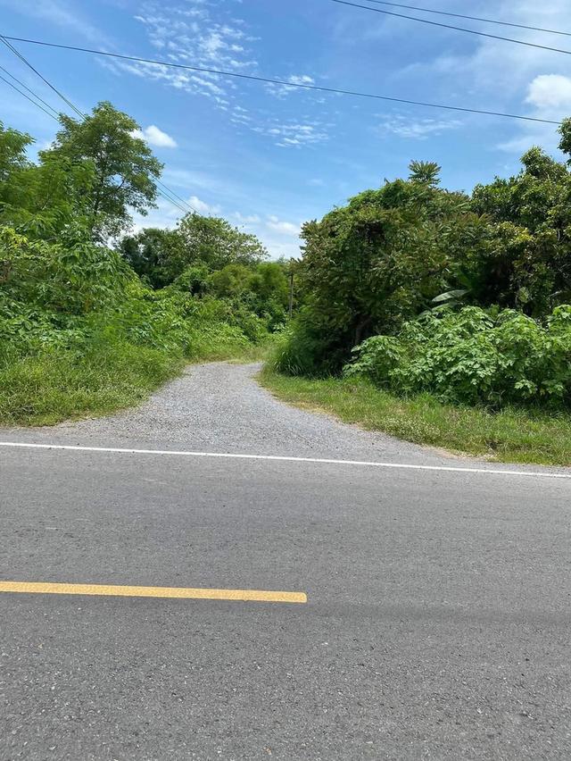 ที่ดิน 12