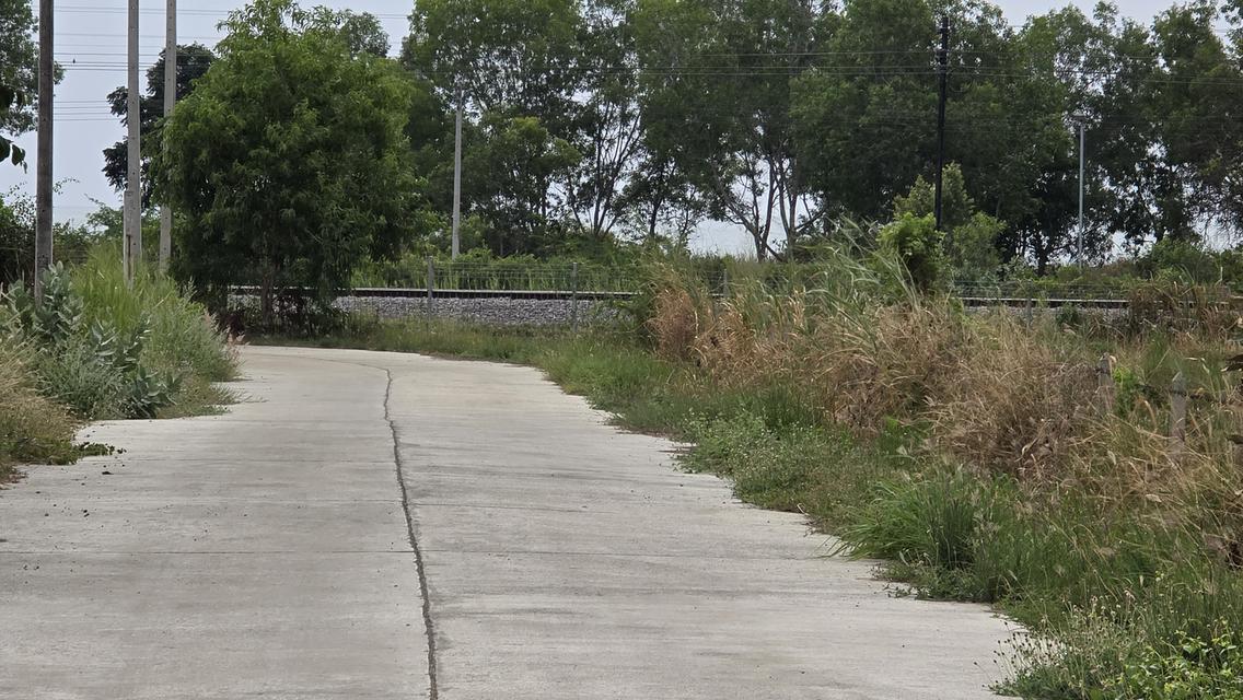 ที่ดินแปลงสวย ใกล้ทะเล ใกล้รถไฟความเร็วสูง 7