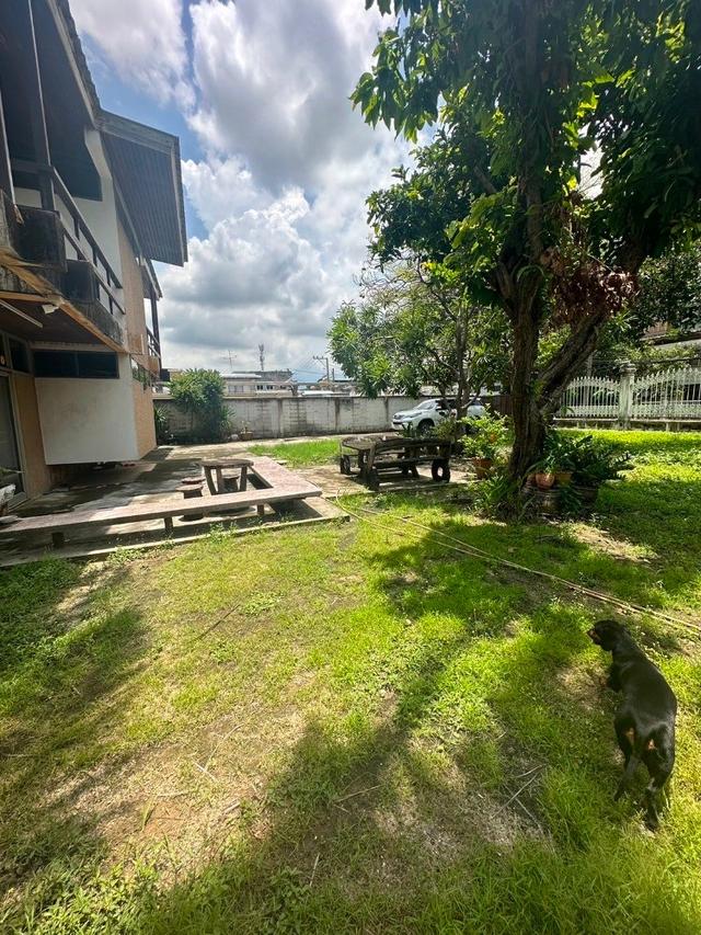 ให้เช่าบ้านเดี่ยว 2 ชั้น พร้อมที่ดิน ซอยสุขุมวิท 97/1 ถนนสุขุมวิท (N.1543) 14