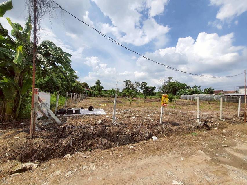 ขายด่วน ที่ดินพุทธมณฑลสายสาม 360 ตารางวา ถมแล้วทั้งแปลง ซอย 19 แยก 6-12 เขตทวีวัฒนา กทม.