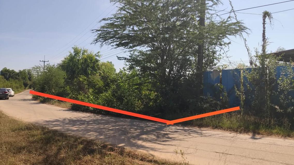 ที่ดิน อสังหาริมทรัพย์ 7