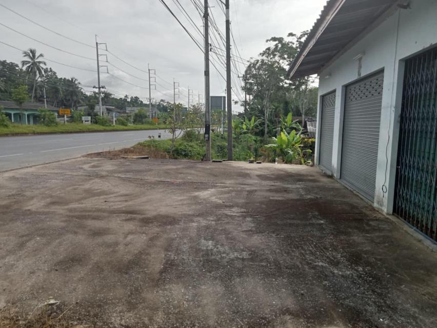 ที่ดิน 6