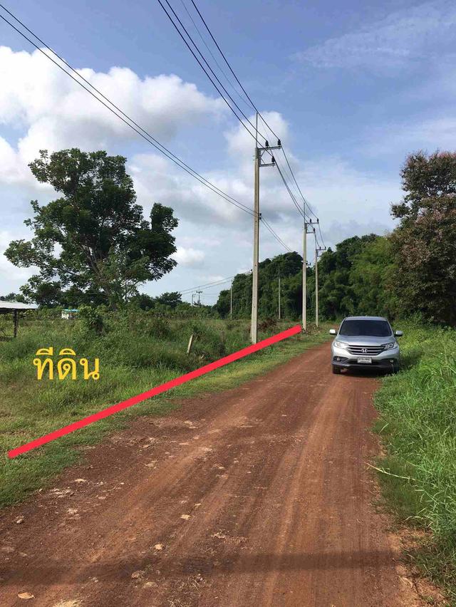 ขายที่ดินหัวหว้า 1 ไร่ เหมาะทำสวน ใกล้ถนนสี่เลนเส้น3070-2กม. อ.ศรีมหาโพธิ ปราจีนบุรี 2