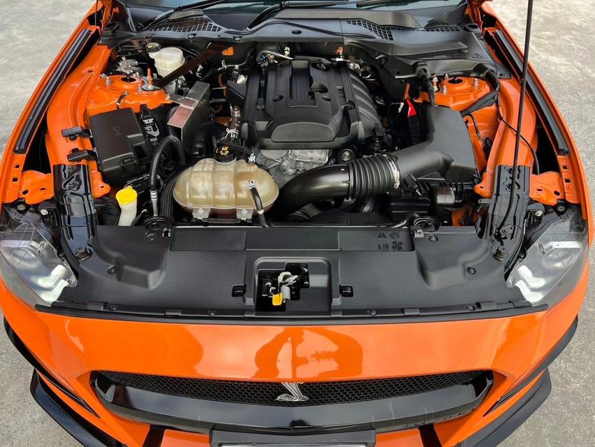 FORD MUSTANG 2.3 High Performance 2020  18