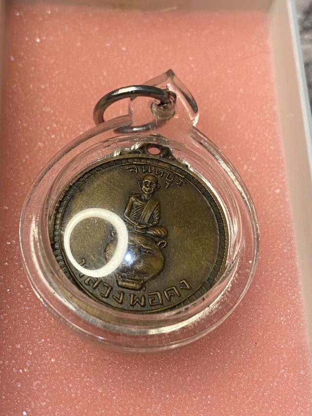 เหรียญนั่งหัวเสือ หลังเรียบ หลวงพ่อคง วัดวังสรรพรส ปี2518