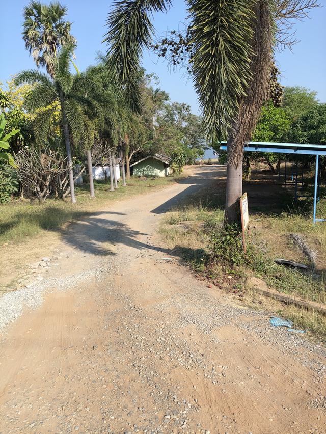 ที่ดินวิวทะเลสาบอ่างเก็บน้ำลำสำลาย 7