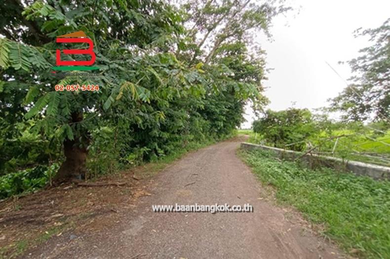 ที่ดินเปล่า ศาลาแดง 11 เนื้อที่ 1-1-26 ไร่ ซ.สุวินทวงศ์ 59 ต.ศาลาแดง อ.บางน้ำเปรี้ยว จ.ฉะเชิงเทรา 4