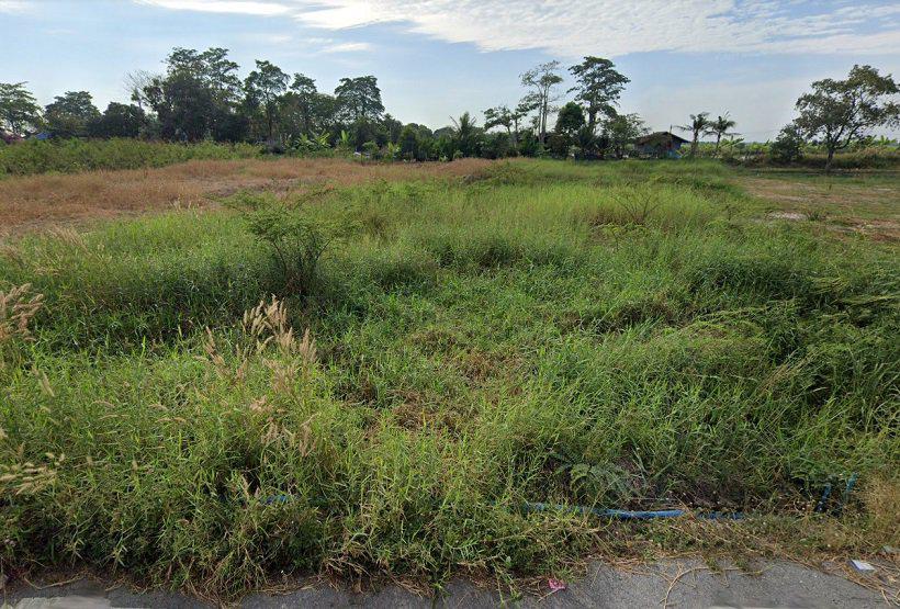 รูป 81435 - ขายที่ดินเปล่า 364 ตร.ว. ติดถนน นย.3022 บึงศาล องครักษ์ นครนายก