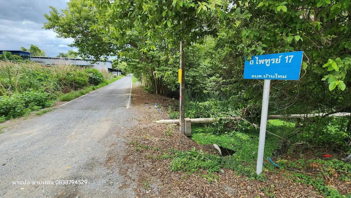ขายด่วนทีดินบ้านไหม่ 394 ตารางวา ติดถนนลาดยางเคหะ-บ้านใหม่ 43 บางใหญ่ นนทบุรี 2