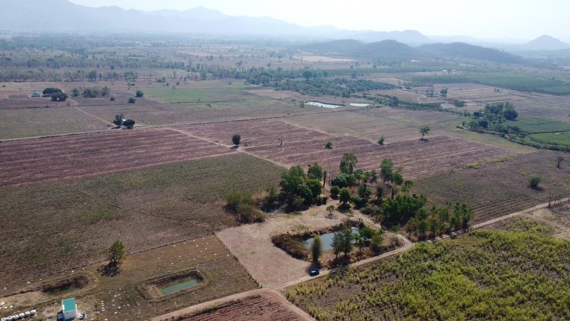 ที่ดิน ชนแดน เพชรบูรณ์ ขนาด 2 ไร่ 50 ตรวา 380,000 บาท  16