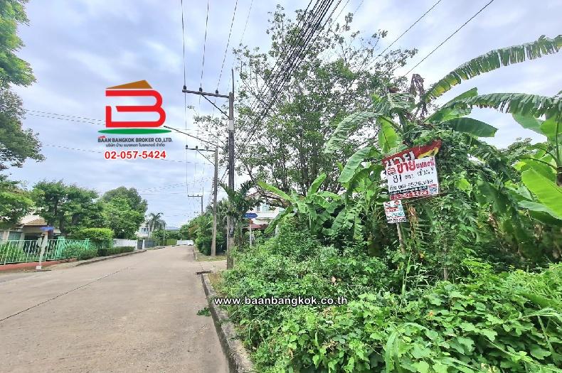 ที่ดินเปล่า หมู่บ้านปาริชาต 345 (โซน B ซอย 15) เนื้อที่ 81 ตร.ว ตำบลบางคูวัด อำเภอเมืองปทุมธานี ปทุมธานี 2