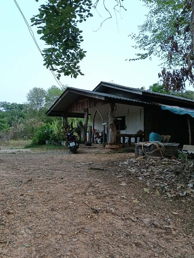 ที่ดินพร้อมบ้าน 300 ตารางวา 3