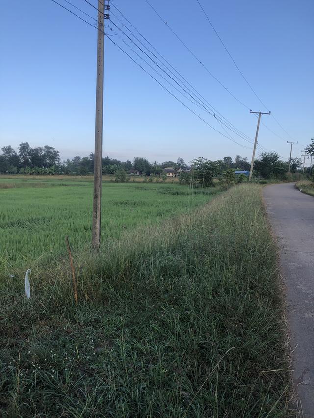 ขายที่ดินของตัวเองค่ะ 1