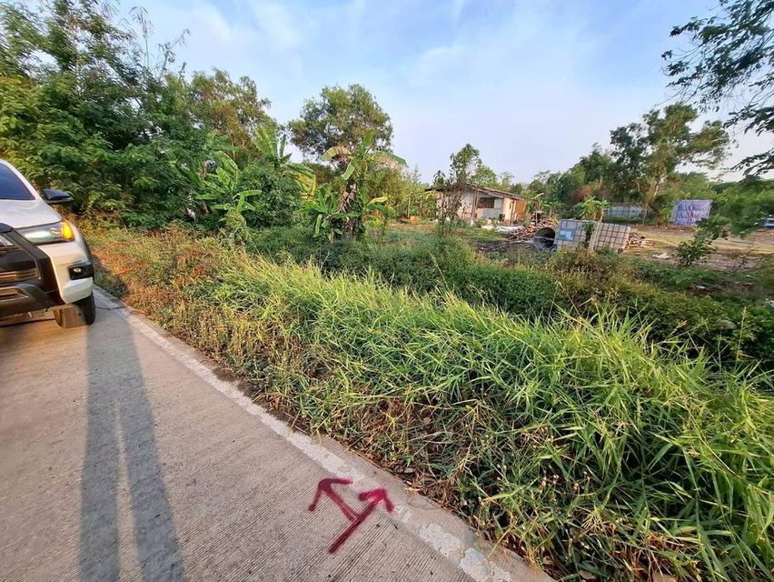 ขายถูกที่ดิน 831 ตรว ติดถนนคอนกรีตสาธารณะ ซ.คลองหก ตต.19 คลองหลวง ปทุมธานี 3