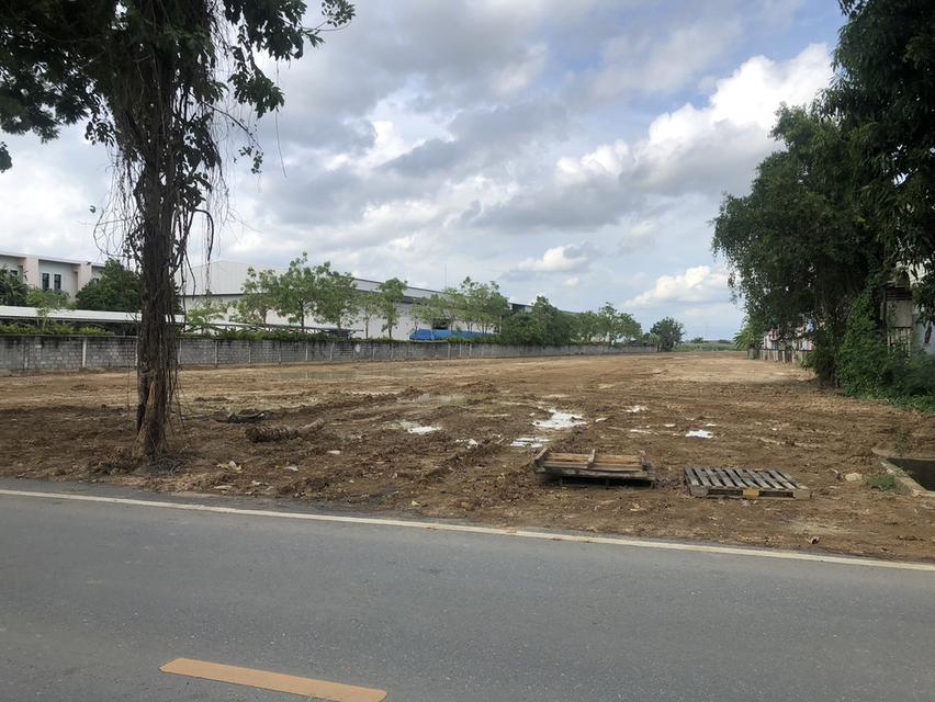 ขายที่ดินถมแล้ว 8-1-73 ไร่  4