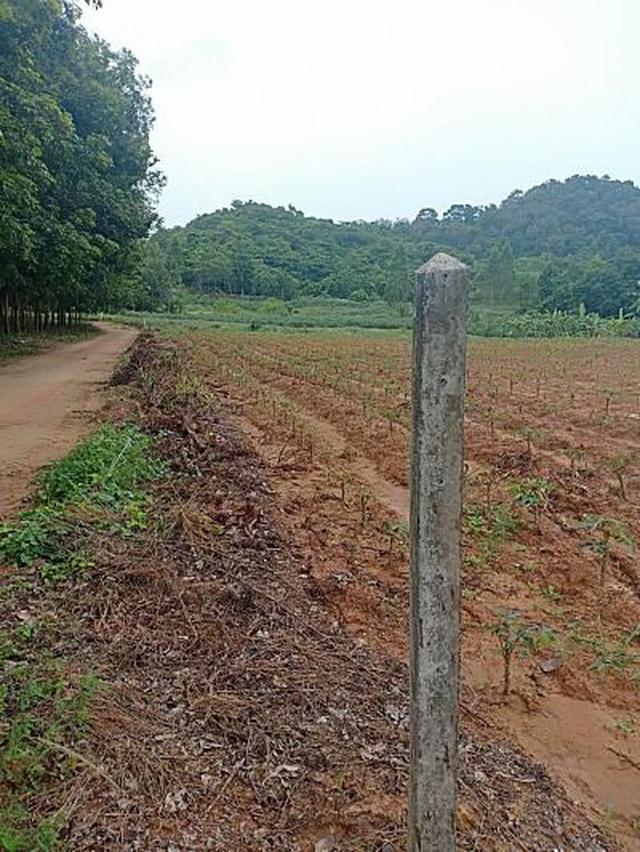 รูป Nice Land scape for sale good mountain view closed river  wi 2
