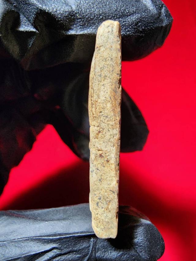 พระสมเด็จบางขุนพรหม พิมพ์ใหญ่ หลังตรายางน้ำเงิน 4