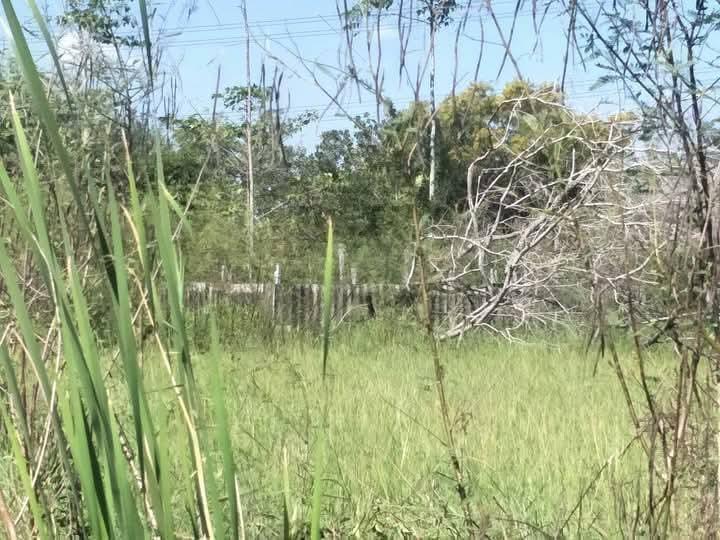 ที่ดินว่างเปล่า 5