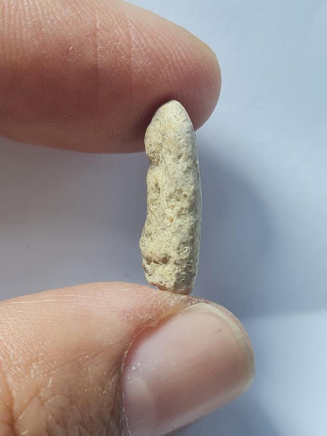 พระเม็ดบัว หลวงพ่ออ๋อย รูปที่ 3