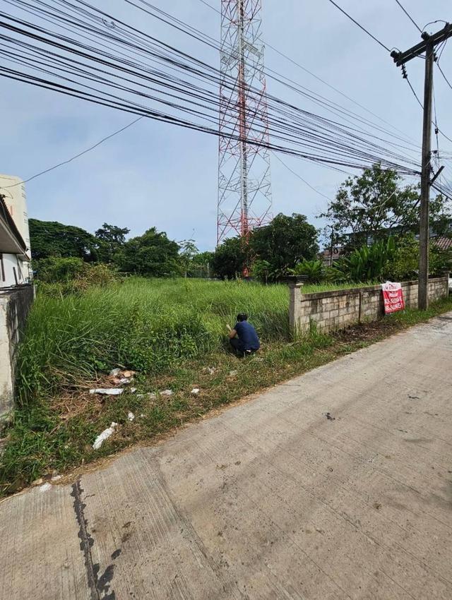 ขายที่ดินติดถนน ตำบลท่าขอนยาง อำเภอกันทรวิชัย มหาสารคาม 2