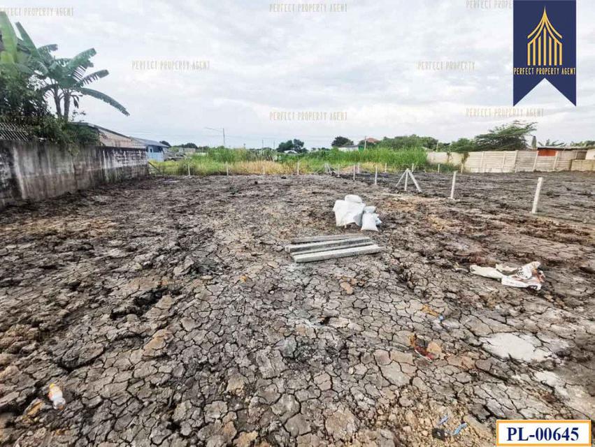 รูป ที่ดินถมแล้ว 100 ตารางวา ลำลูกกา ปทุมธานี เหมาะสมในการสร้างบ้าน เดินทางสะดวกสบาย 1 งาน 4
