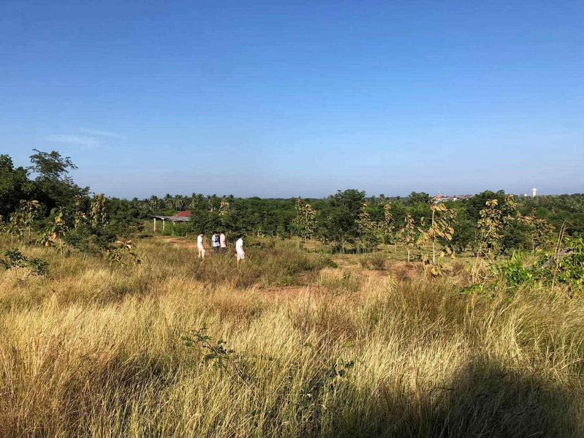 ที่ดินภูเขา หัวหิน ปากน้ำปราณ 2 ไร่ 1