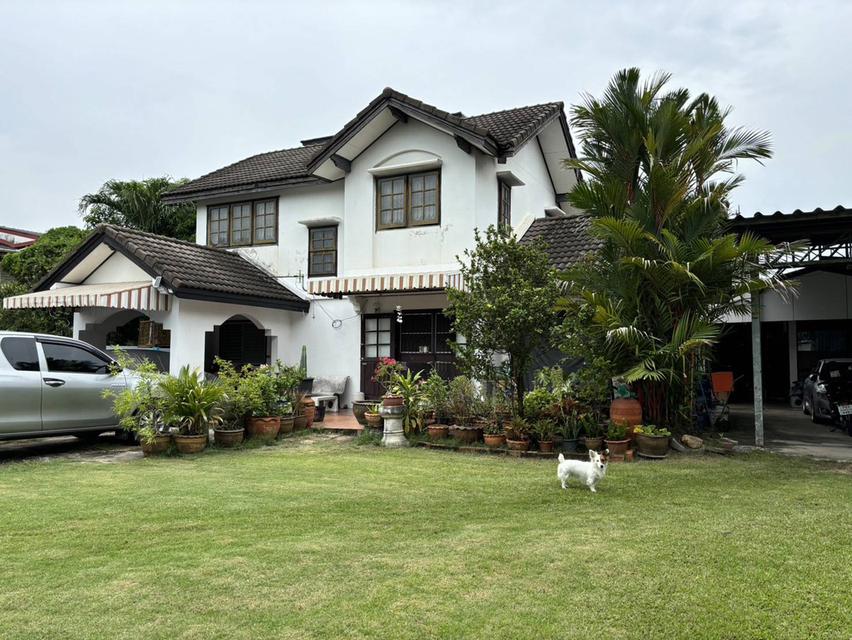 ขายบ้านเดี่ยวสุขุมวิท บางจาก พระโขนง ที่ดิน 203ตร.ว อยู่สุขุมวิท93 ใกล้ BTSบางจาก ออกอ่อนนุช ไปพัฒนาการ ศรีนครินทร์ ออกปุณณวิถี อุดมสุขไปบางนาก็สะดวก 2