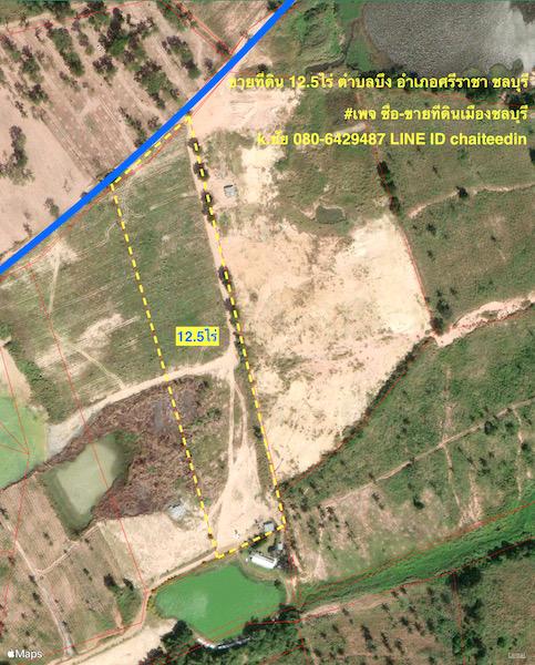 ขายที่ดินผังเมือง EEC เนื้อที่ 12.5ไร่ ติดถนน 85เมตร ลึก 300เมตร ตำบลบึง ศรีราชา ชลบุรี ใกล้นิคมปิ่นทอง ใกล้ตลาดบึงวรกิจ ใกล้ ทล.3009 7