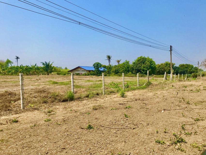 ที่ดิน จังหวัดอ่างทอง 2