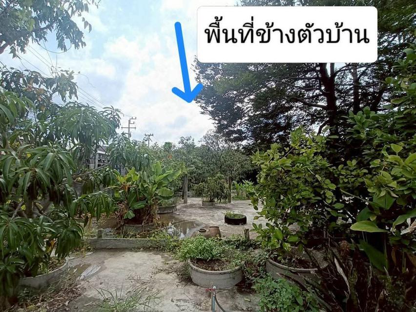 บ้านเดี่ยวพร้อมที่ดิน1ไร่ 4