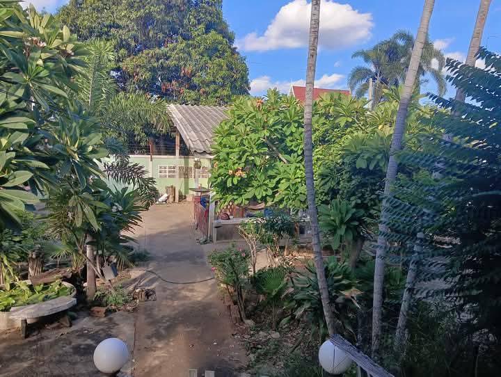 บ้านและที่ดิน 180ตรว. อยู่ใน อ.หนองม่วง จ.ลพบุรี 7